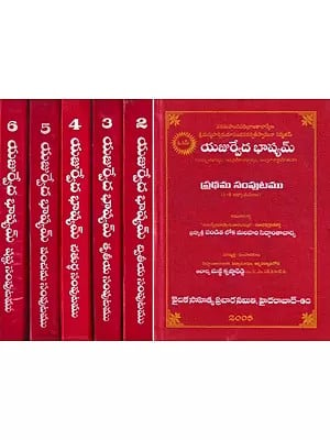 యజుర్వేద భశ్యమ్: The Yajurveda Bhashyam with Maharshi Dayananda Saraswathi’s Commentary (Set of 6 Volumes in Telugu)
