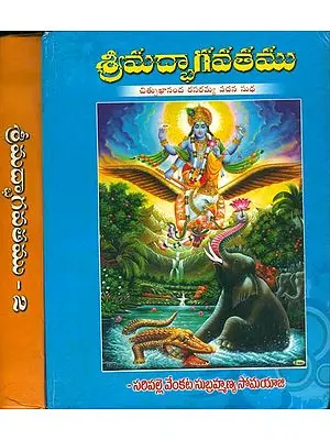 శ్రీమద్ భాగవతము: Shrimad Bhagavatam in Telugu (Set of 2 Volumes)
