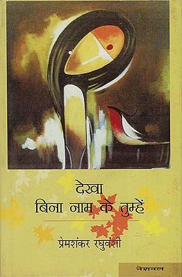 देखा बिना नाम के तुम्हें: Dekha Bina Naam Ke Tumhe (Poems)