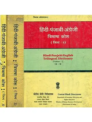 हिंदी पंजाबी अंग्रेजी : Hindi, Punjabi and English Dictionary in Set of 3  Volumes (An Old and Rare Book)
