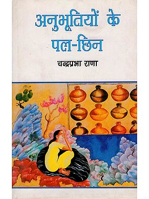 अनुभूतियों के पल-छिन: Anubhootiyon Ke Pal-Chhin (Hindi Stories)