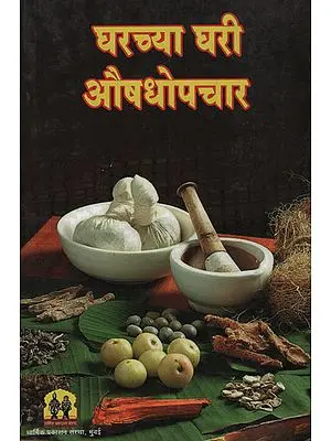 घरच्या घरी औषधोपचार -  Home Medicine (Marathi)