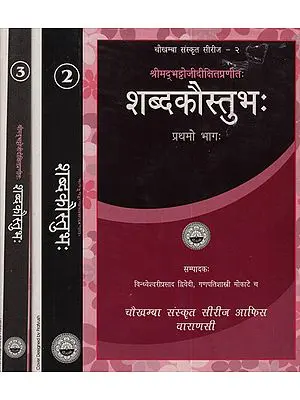 शब्दकौस्तुभ - Shabda Kaustubha (Set of 3 Volumes)