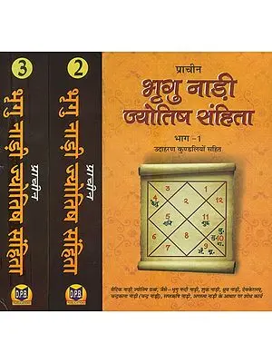 प्राचीन भृगु नाड़ी ज्योतिष संहिता- Ancient Bhrigu Nadi Jyotish Samhita With Horoscopes Example (Set Of 3 Volumes)