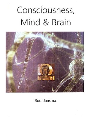 Consciousness, Mind & Brain