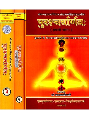 पुरश्चर्यार्णवः- Purshcharyarnava (Set of 3 Volumes)