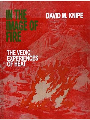 In The Image of Fire- The Vedic Experiences of Heat