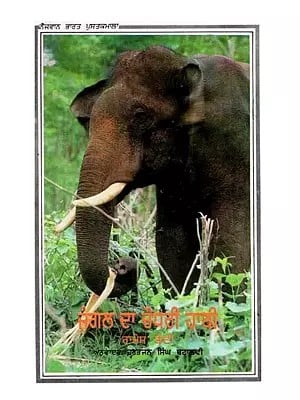 Elephant Lord of The Jungle (Punjabi)