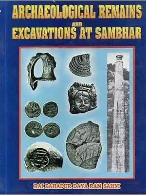 Archaeological Remains and Excavations at Sambhar