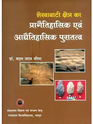 शेखावाटी क्षेत्र का प्रागैतिहासिक एवं आद्यैतिहासिक पुरातत्व- Prehistoric and Protohistoric Archeology of Shekhawati Region