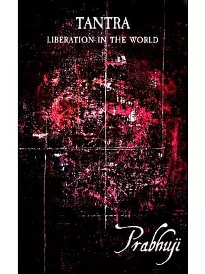 Tantra - Liberation in the World