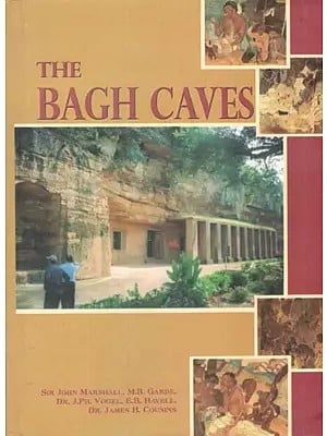 The Bagh Caves