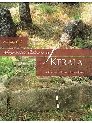 Megalithic Culture of Kerala : A Study of Pamba River Basin