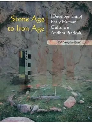 Stone Age to Iron Age- Development of Early Human Culture in Andhra Pradesh