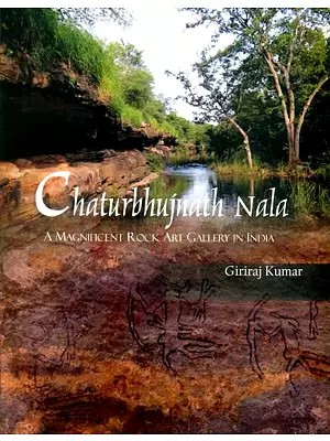 Chaturbhujnath Nala- A Magnificent Rock Art Gallery in India