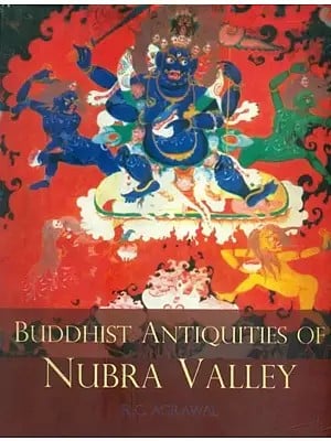 Buddhist Antiquities of Nubra Valley