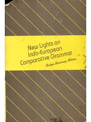 New Lights On Indo- European Comparative Grammar