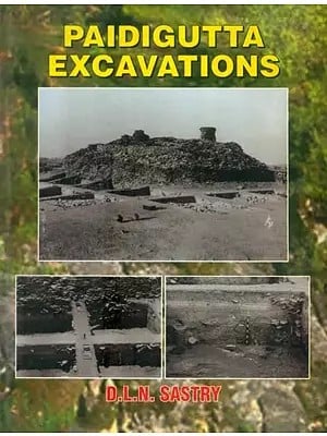 Paidigutta Excavations (An Old and Rare Book)