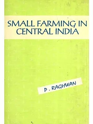 Small Farming In Central India