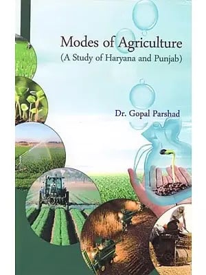 Modes of Agriculture (A Study of Haryana and Punjab)