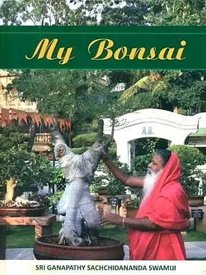 My Bonsai