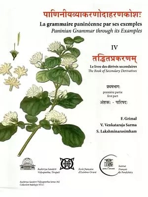 पाणिनीयव्याकरणोदाहरणकोश: (तद्धितप्रकरणम्)- Paninian Grammar Through its Examples (The Book of Secondary Derivatives)- (IV-I Volume)