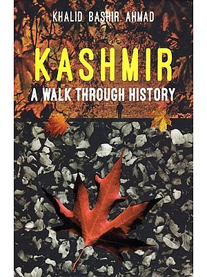 Kashmir a Walk Through History
