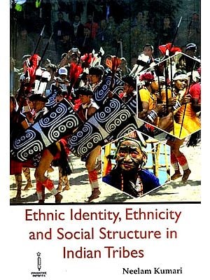 Ethnic Identity, Ethnicity and Social Structure in Indian Tribes