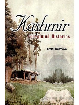 Kashmir (Convoluted Histories)