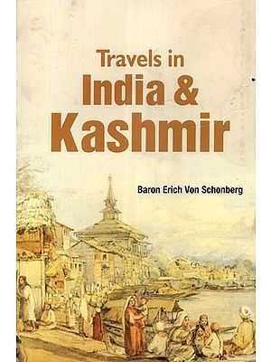 Travels in Indian & Kashmir