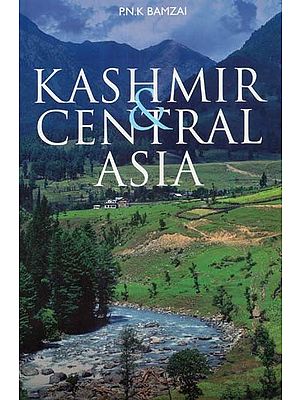 Kashmir & Central Asia