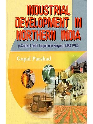 Industrial Development in Northern India  (A Study of Delhi, Punjab and Haryana 1858-1918)