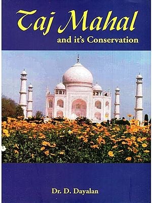 Taj Mahal and it's Conservation