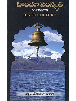 హిందూ సంస్కృతి: Hindu Culture (Telugu)