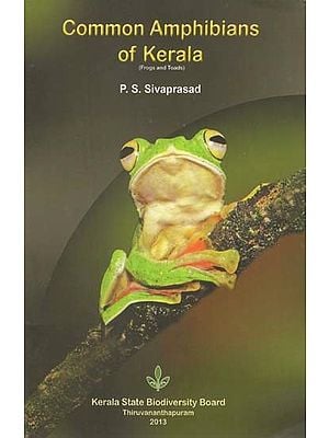 Common Amphibians of Kerala (Frogs and Toads)
