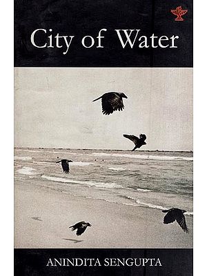 City of Water-Navodaya Series