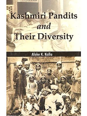 Kashmiri Pandits and Their Diversity (A Socio-Demo-Genetic Profile)