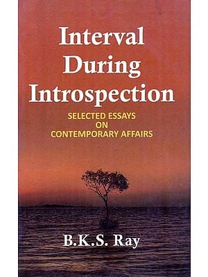 Interval During Introspection Selected Essays on Contemporary Affairs