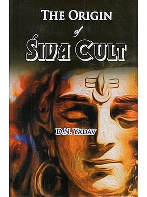 The Origin of Siva Cult