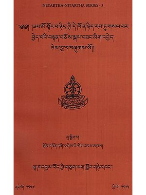 Zab Mo Stong Pa Nyid Kyi De Kho Na Nyid Rab Tu Gsal Bar Byed Paʼi Bstan Bcos Skal Bzang Mig ʼByed Ces Bya Ba Bzhugs So (Tibetan)