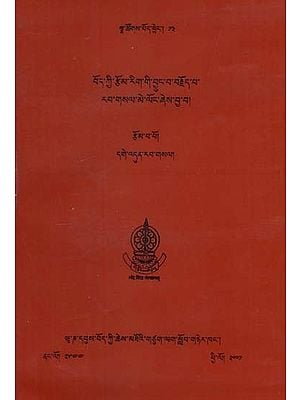 Bod Kyi rTsom-Rig Gi Byung-ba brJod-pa Rab-gSal Me-Long Zhes Bya-ba (History of Tibetan Literature)