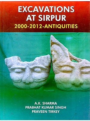Excavations at Sirpur 2000-2012-Antiquities