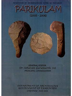 Parikulam: Excavation of Archaeological Sites in Tamilnadu- An Old and Rare Book  (2005 - 2006)