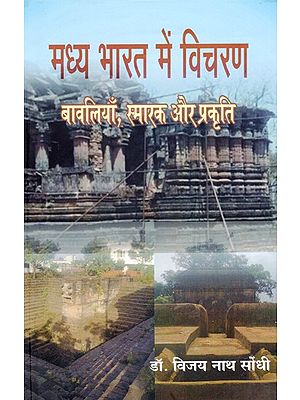 मध्य भारत में विचरण बावलियाँ, स्मारक और प्रकृति: Viharan Baolis, Monuments and Nature in Central India