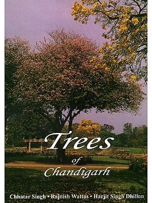 Trees of Chandigarh