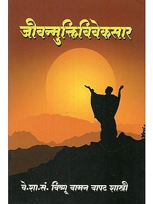 जीवन्मुक्तिविवेकसार- Discourses on Jivan Mukti Viveka Sara (Marathi)