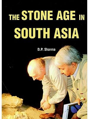The Stone Age in South Asia