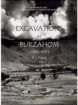 Excavations at Burzahom (1960- 1971)