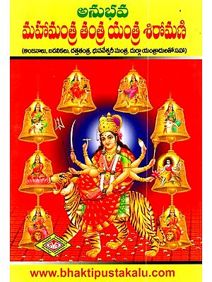అనుభవ మహామంత్ర తంత్ర యంత్ర శిరోమణి- Anubhava Mahamantra Tantra Yantra Shiromani (Telugu)