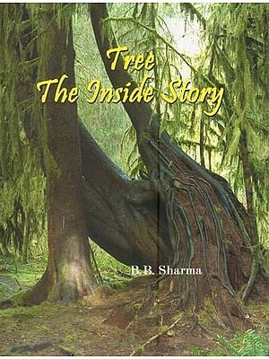 Tree the Inside Story